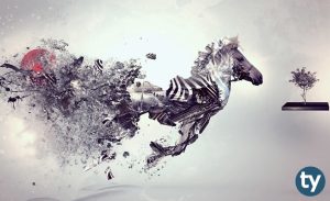 DGS Grafik Tasarımı Taban Puanları 2020