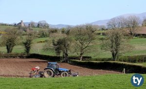 DGS Tarım Ekonomisi Taban Puanları 2020