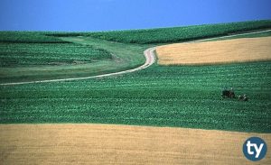 DGS Tarımsal Biyoteknoloji Taban Puanları 2020