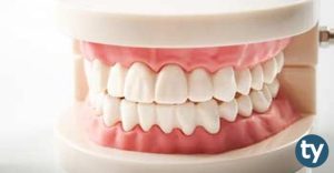Diş Protez Teknisyeni Maaşları Ne Kadar?