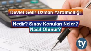 Devlet Gelir Uzman Yardımcılığı DGUY Nedir? Nasıl Olunur?