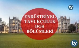 Endüstriyel Tavukçuluk Mezunları DGS İle Hangi Bölümlere Girebilir?