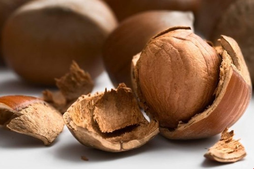 karadeniz i̇hracatçı birlikleri uzman yardımcılığı alım i̇lanı 2019 1 findik