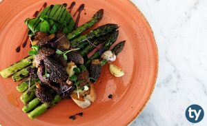 Gastronomi ve Mutfak Sanatları 2021 Taban Puanları ve Başarı Sıralamaları