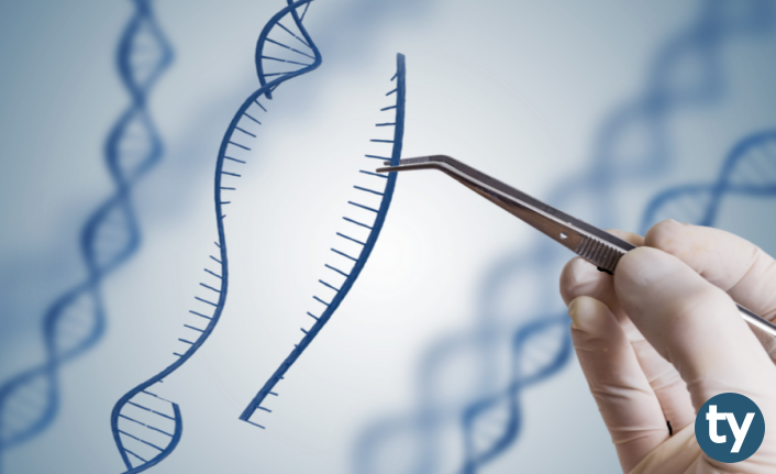 genetik ve yasam bilimleri programlari 2020 taban puanlari ve basari siralamalari d081c