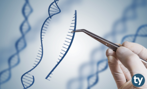Genetik ve Biyomühendislik 2020 Taban Puanları ve Başarı Sıralamaları