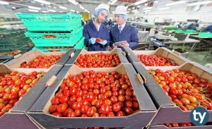 Gıda Kalite Kontrolü ve Analizi 2020 Taban Puanları ve Başarı Sıralamaları