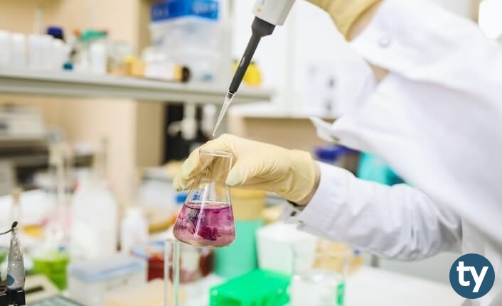 gida muhendisligi 20207 kpss atama taban puanlari h11066 2a020