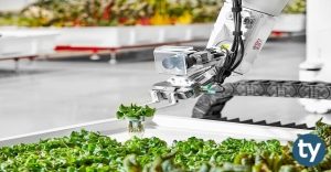 Gıda Teknolojisi 2020/1 KPSS Atama Taban Puanları