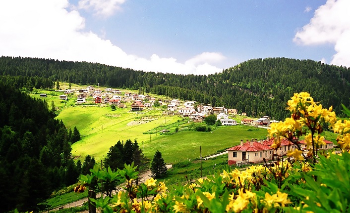 giresun'un i̇lçeleri nelerdir? giresun i̇lçeleri 1 giresun merkez ilceleri