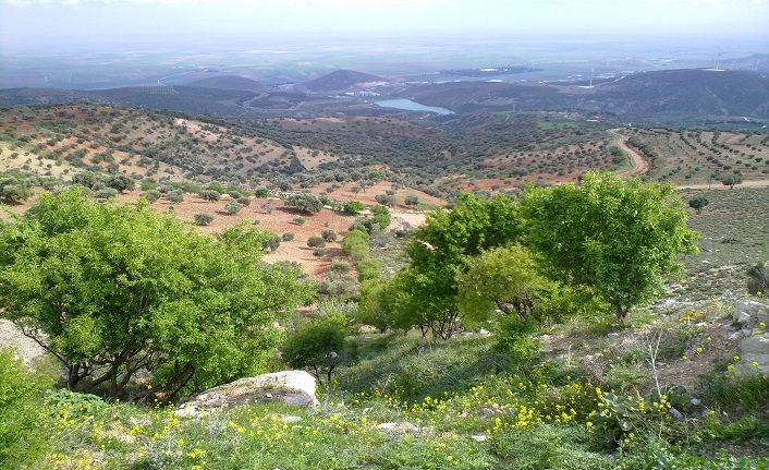 hatay'ın i̇lçeleri nelerdir? hatay i̇lçeleri 1 hatay merkez ilceleri