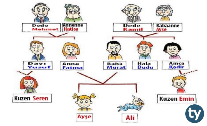 Hısımlık Nedir, Hısımlık Dereceleri Nasıl Hesaplanır, Hısımlıkta Kaçıncı Dereceye Kadar Evlenmek Yasaktır?