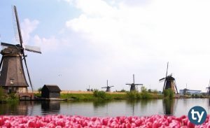 Hollanda'nın Bölgeleri Nelerdir? Hollanda'da Hangi İller Var? Hollanda Şehirleri