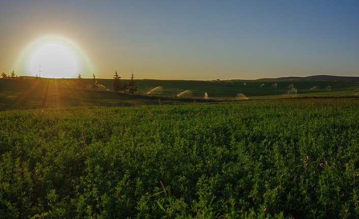 isparta'nın i̇lçeleri nelerdir? isparta i̇lçeleri 1 isparta merkez ilceleri