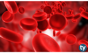 Kan Grubu Nedir? Nasıl Öğrenilir? Nereden Öğrenilir?