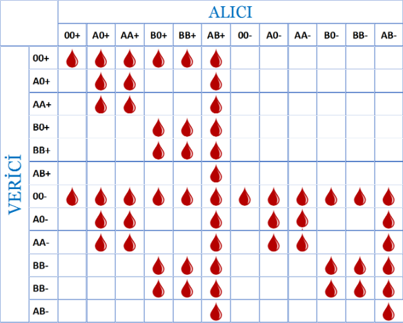 kan grubu nedir? nasıl öğrenilir? nereden öğrenilir? 1 kan grubu tablosu