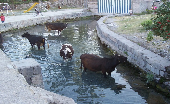 kayseri'nin i̇lçeleri nelerdir? kayseri i̇lçeleri 1 kayseri merkez ilceleri nelerdir
