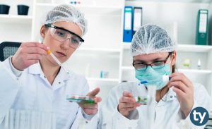 Kimya Mühendisliği KPSS 2019/1 Atama Taban Puanları