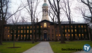 Kimya Süreç Mühendisliği 2020 Başarı Sıralamaları ve Taban Puanları