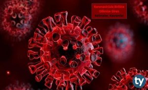 Koronavirüsle Birlikte Dilimize Giren Kelimeler, Kavramlar