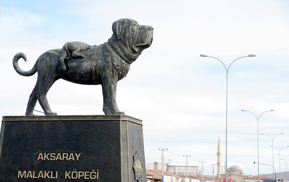 aksaray nerede, i̇l mi? nüfusu kaç? çinliler aksaray'da ne yapıyor? 5 malakly heykel