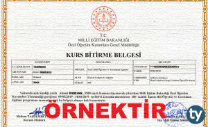 MEB Onaylı Bilgisayar Sertifikası Nedir? Nasıl ve Nereden Alınır?