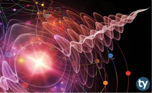 (MEB – ÖSYM – YÖK) AYT Biyoloji Konuları 2023 Nelerdir?