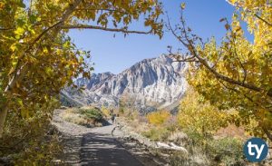 (MEB – ÖSYM – YÖK) AYT Coğrafya Konuları 2023 Nelerdir?