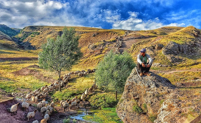 muş'un i̇lçeleri nelerdir? muş i̇lçeleri 1 mus merkez ilceleri