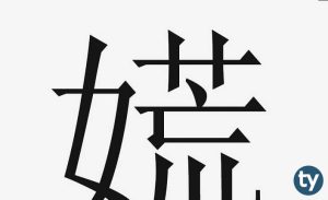 Mütercim Tercümanlık (Çince) KPSS 2019/1 Atama Taban Puanları