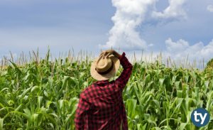 Organik Tarım İşletmeciliği 2020 Taban Puanları ve Başarı Sıralamaları