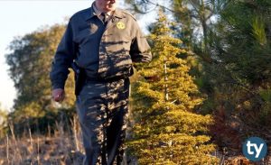 Orman Genel Müdürlüğü 700 Daimi İşçi Alım İlanı