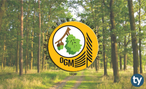 Orman Genel Müdürlüğü (OGM) İş İlanları, Personel Alımı ve İş Başvurusu