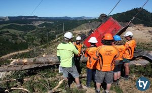 Orman Mühendisliği KPSS 2018/2 Atama Taban Puanları