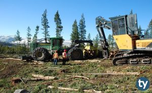 Ormancılık ve Orman Ürünleri KPSS 2019/1 Atama Taban Puanları