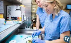 Patolojik Anatomi Teknikeri KPSS 2019/4 Atama Taban Puanları