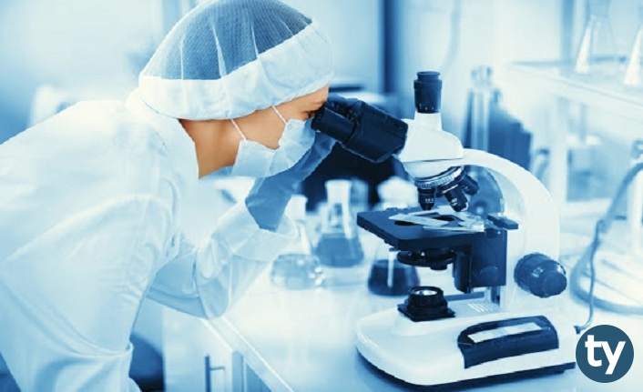 Patolojik Anatomi Teknikeri KPSS 2020/4 Atama Taban Puanları