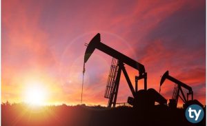 Petrol ve Doğalgaz Mühendisliği 2020 Taban Puanları ve Başarı Sıralamaları