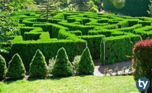 Peyzaj Mimarlığı 2020 Taban Puanları ve Başarı Sıralamaları