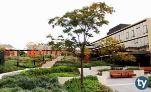 Peyzaj Mimarlığı 2020/1 KPSS Atama Taban Puanları