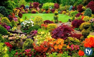 Peyzaj ve Süs Bitkileri 2020 Taban Puanları ve Başarı Sıralamaları