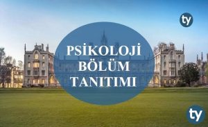Psikoloji Bölümü Nedir? Psikoloji Bölümü Tanıtımı, Hakkında Bilgi