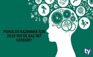 Psikoloji Kazanmak İçin YKS'de Kaç Net Gerekir?