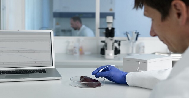 tıbbi görüntüleme (röntgen) teknikeri maaşları ne kadar? 1 rontgen teknikeri nasil olunur