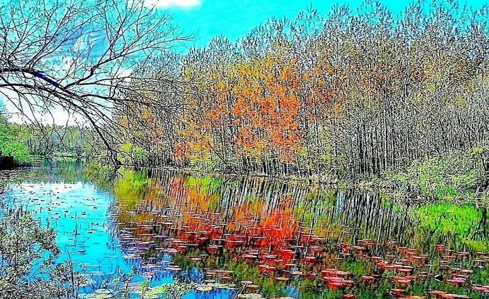 sakarya'nın i̇lçeleri nelerdir? sakarya i̇lçeleri 1 sakarya merkez ilceleri nelerdir