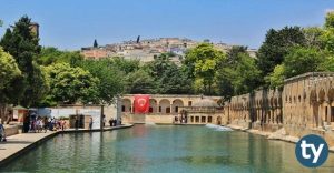 Şanlıurfa Fen Liseleri Taban Puanları 2021 (MEB-LGS)