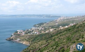 Sinop'un İlçeleri Nelerdir? Sinop İlçeleri