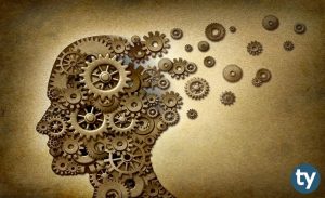 Sözel Bölümleri 2019 Taban Puanları ve Başarı Sıralamaları