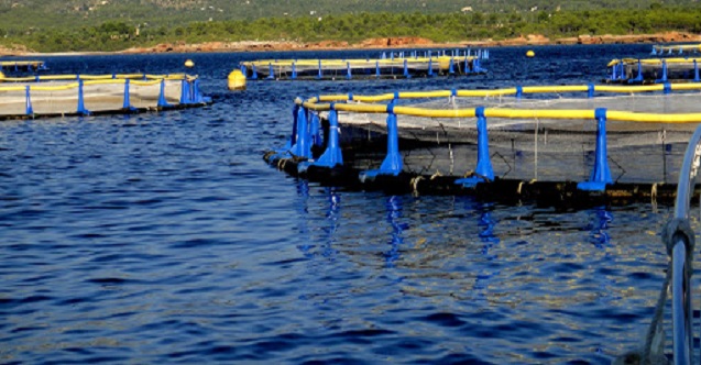 su ürünleri mühendisi 1 su urunleri muhendisi ne is yapar