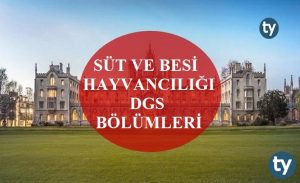 Süt ve Besi Hayvancılığı Mezunları DGS İle Hangi Bölümlere Girebilir?